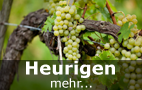 Heurigenmusik/Wienerlied